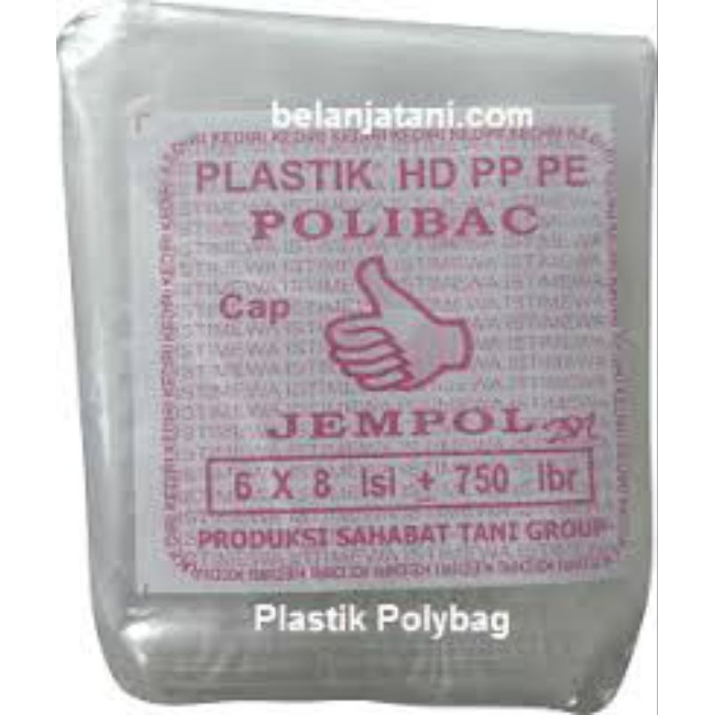 plastik polibag Pembibitan 6X8 isi 750 bks