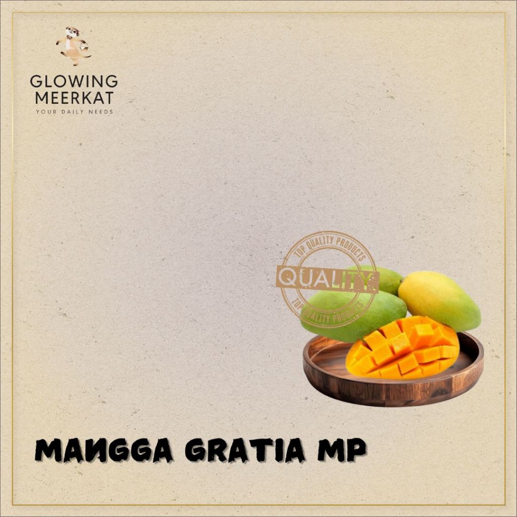 

Mangga HM MP Gratia Manis, Keras, TERBARU