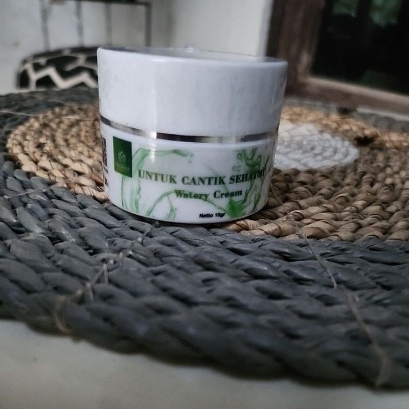 WATERY CREAM NAJMINA BEAUTYCARE