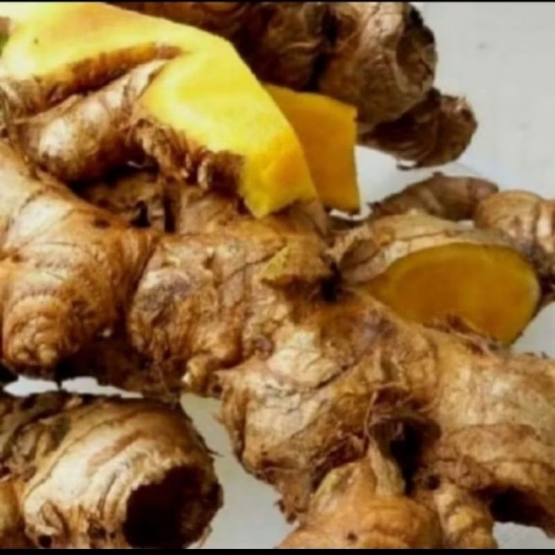 

Bangle Segar / Bonglai / zingiber montanum