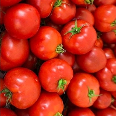 

Tomat merah 500 gr