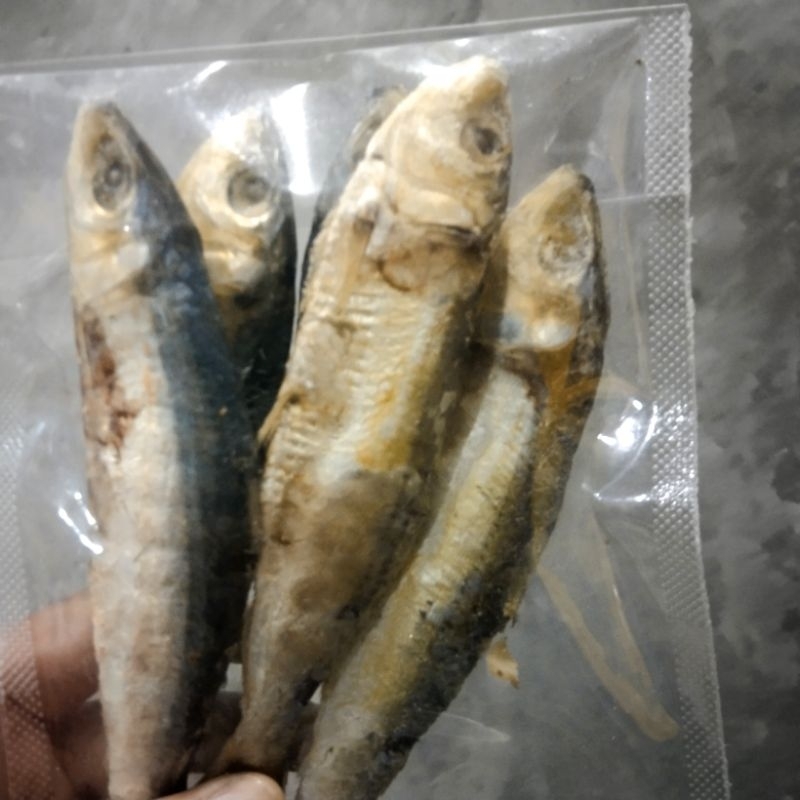 

IKAN ASIN JUWI
