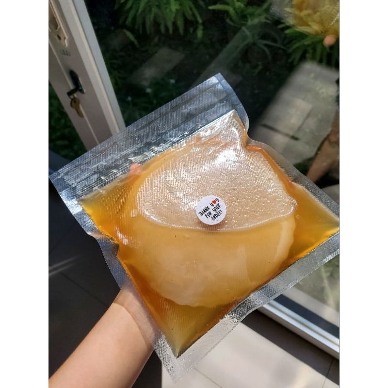 

BIBIT SCOBY KOMBUCHA berkualitas FREE STARTER TEA