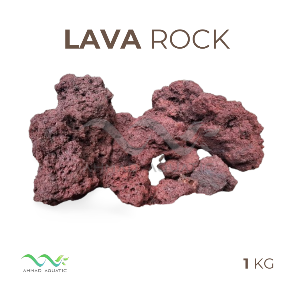Lava Rock Batu Lava Aquascape