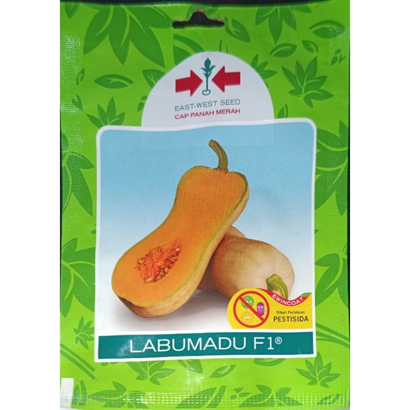 BENIH/ BIBIT LABU MADU F1 EXP 2025