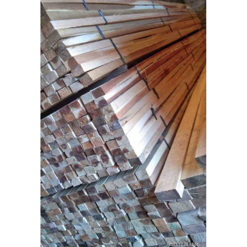 Kaso Begisting 5 x 7 kayu proyek