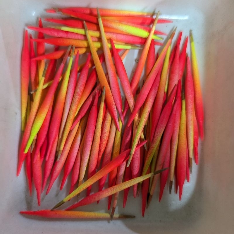 Kumbul Pelampung Pancing Microfishing | Pelampung Microfishing