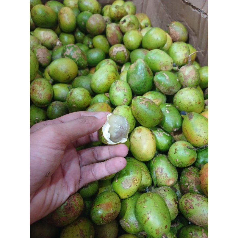 

matoa super manis dan seger kemasan 1kg