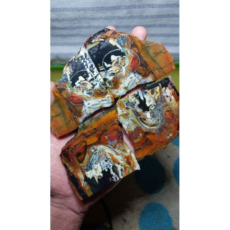 fancawarna garut edong