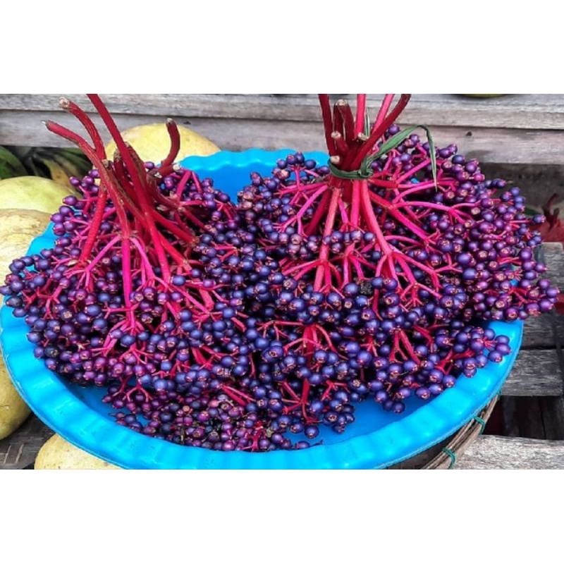 

Buah parijhoto promil alami 100% asli muria