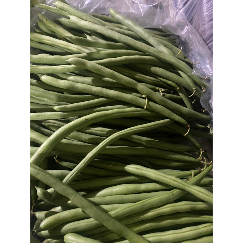 

BUNCIS EKONOMIS PERPACK SYEGERR