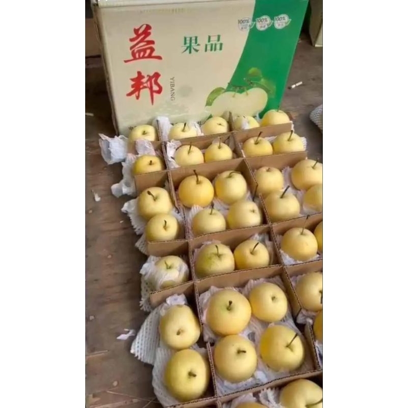 

Buah pir century manis segar