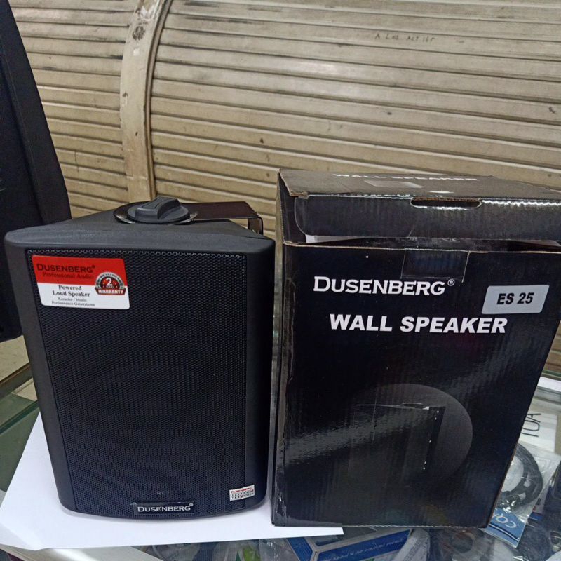 Wall Speaker Dusenberg 5 inch speaker cafe