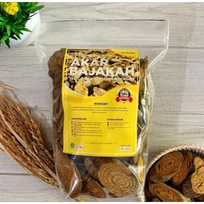 

Akar Bajakah Kuning Kualitas Super Asli Kalimantan Berat 250gr