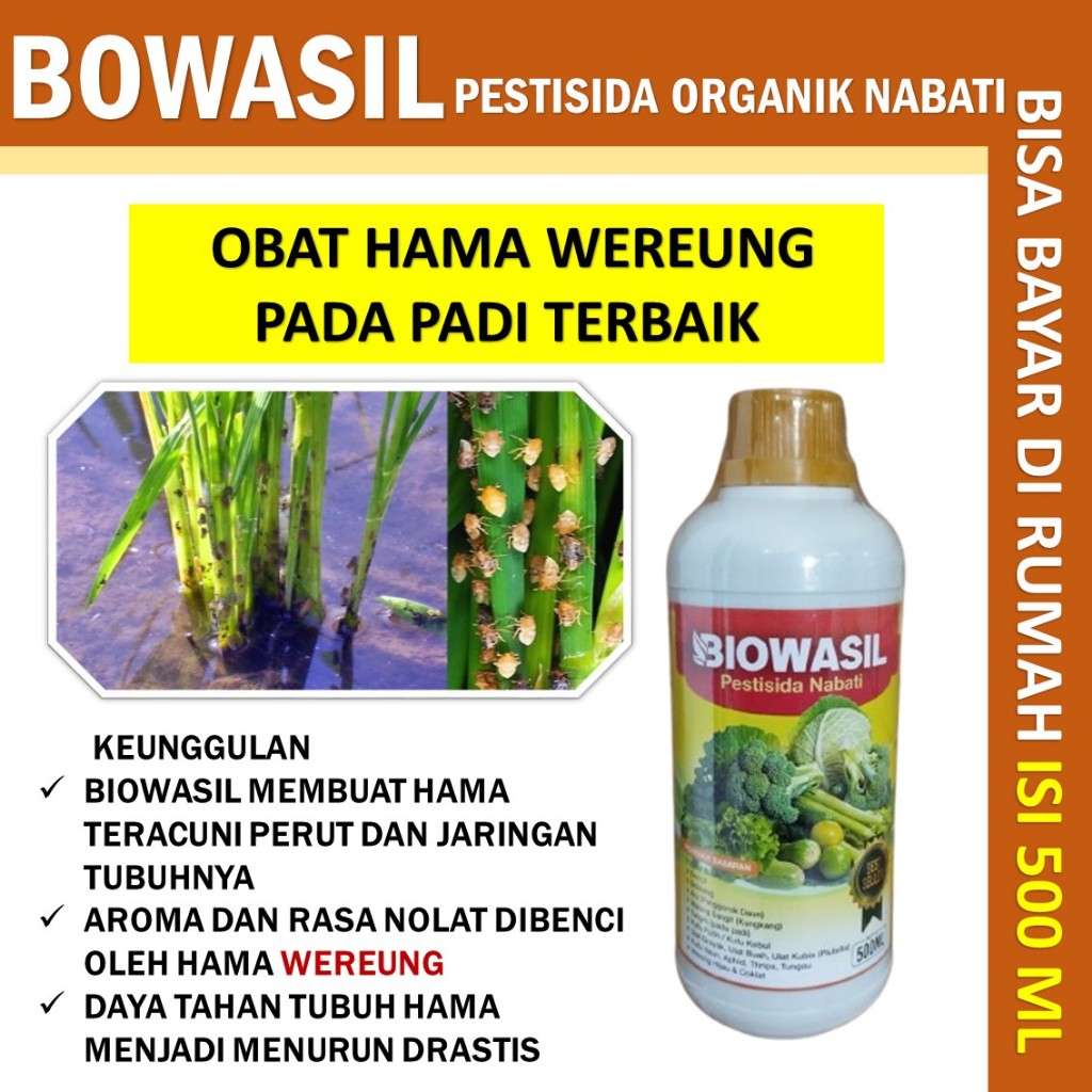 Obat Semprot Hama Wereng Padi BIOWASIL 500 ML Pestisida Organik Nabati Obat Yang Ampuh Untuk Hama We