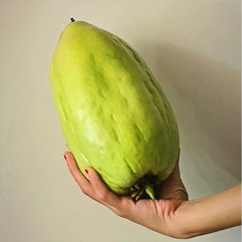 

Buah markusa jumbo 1kg -2 kg