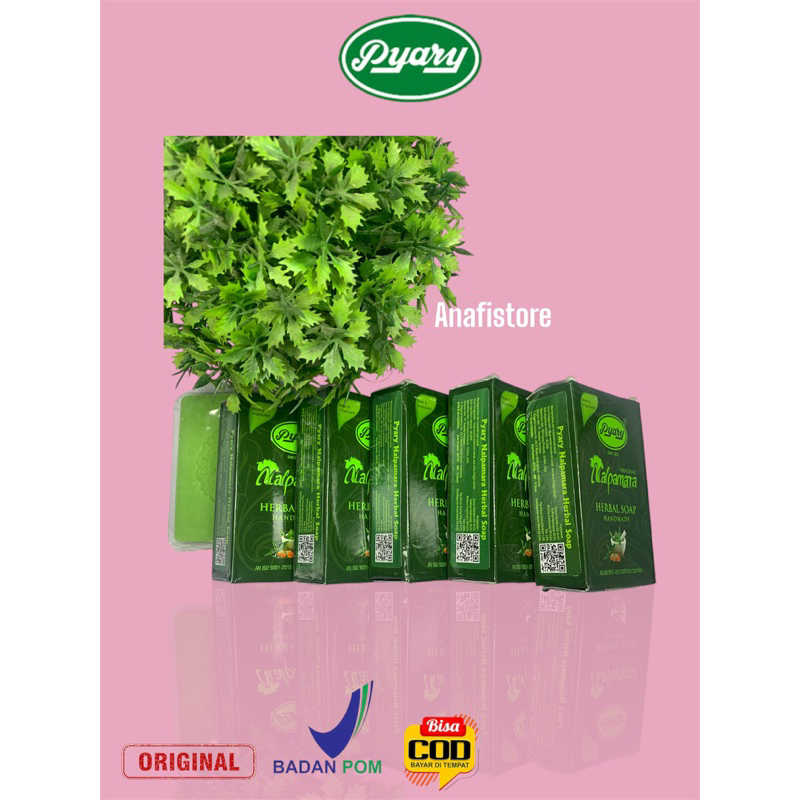 sabun pyari nalpamara paket usaha (5) bpom