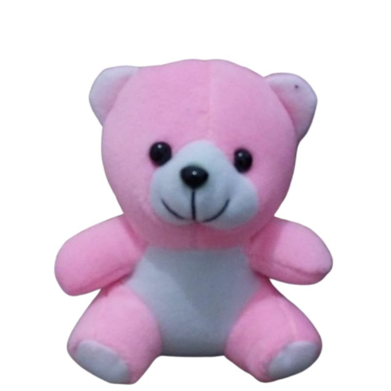 Boneka Bear Pink Putih Boneka Beruang Mini Boneka Teddy Bear Boneka Bucket Wisuda