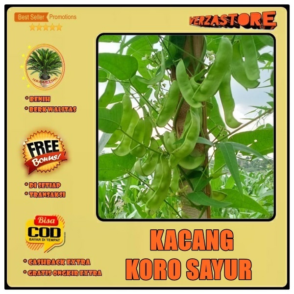 Biji Benih Kacang Koro Sayur Hijau /5 biji