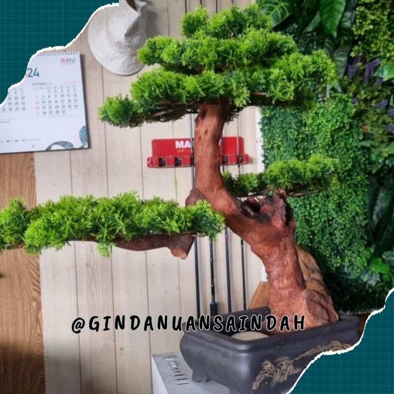 Pohon Bonsai Cemara Artificial - Dekorasi Ruangan Pohon Artificial Bonsai Cemara
