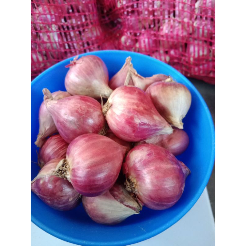 

bawang merah