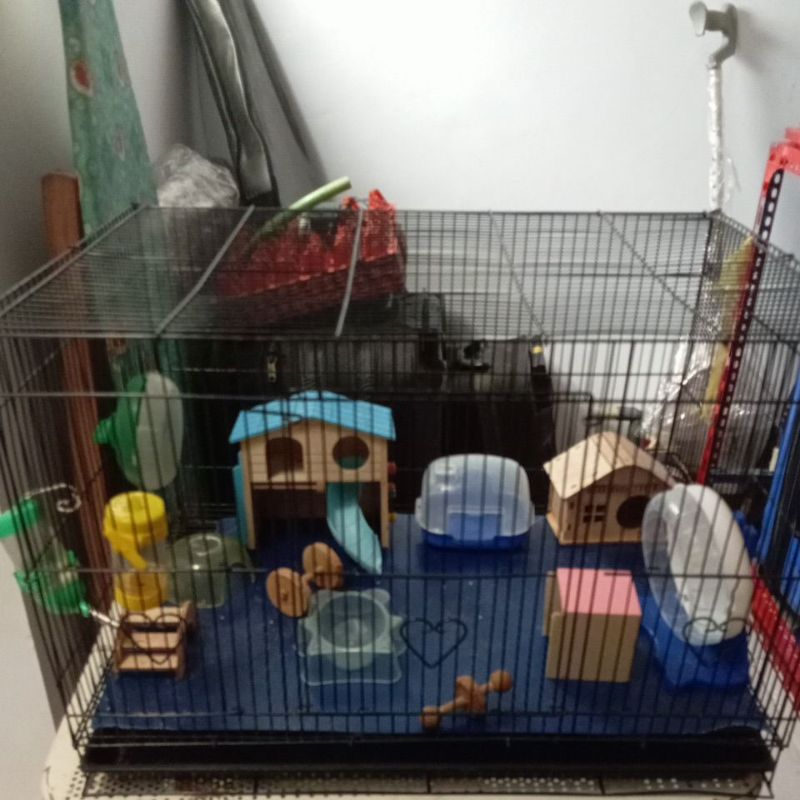 Kandang burung buat kandang hamster second/bekas Murah Meriah dan di kasih semua mainan hamster yang