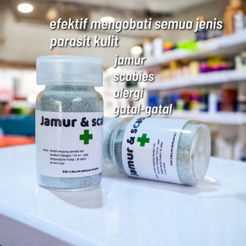 Giltbite_ Obat Jamur Kucing Ampuh Obat Scabies Kucing Ampuh Obat Jamur Scabies Kucing Ampuh Obat