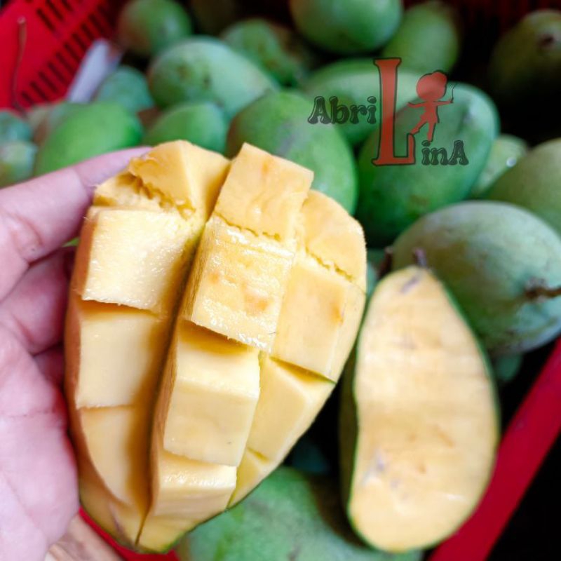 

Termurah Mangga Manalagi Matang Mentah Manis