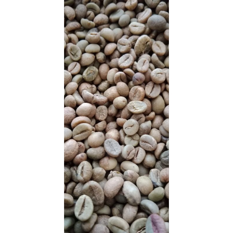 

kopi robusta biji grade A 1kg