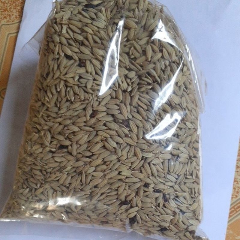 

padi gabah /ketan hitam paket 1 kg