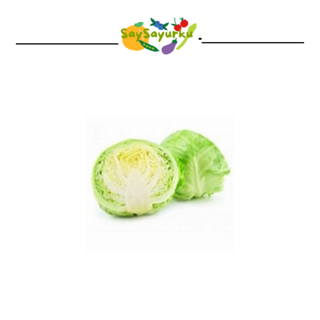 

KUBIS KOL PUTIH GUBIS GOBES 500GR
