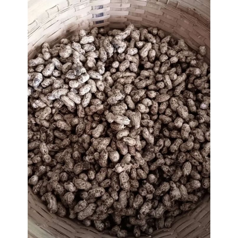 

Kacang Tanah (Brol) Mentah 1kg