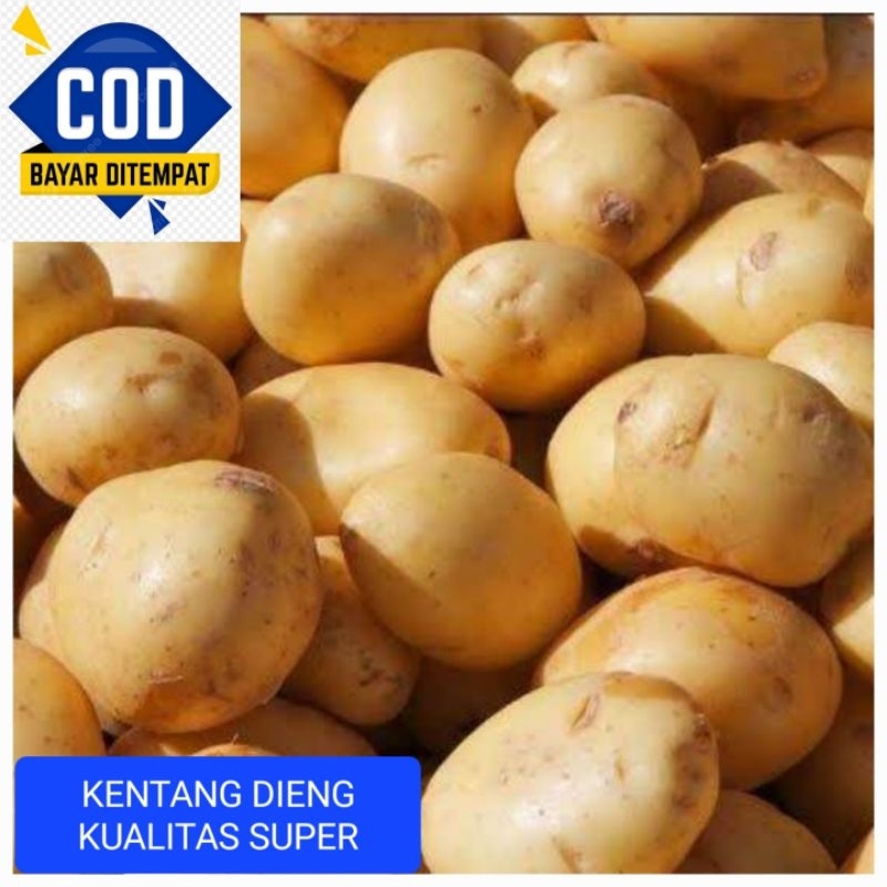 

KENTANG DIENG SUPER 1 KG