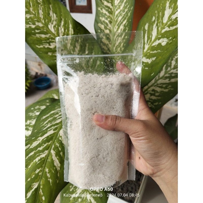

bakdabak mentahan Faizah