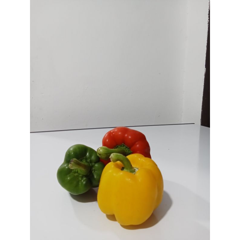 

PAPRIKA SEGAR Perkilo