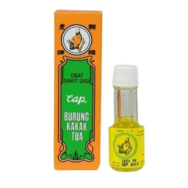 BURUNG KAKAK TUA - Obat Sakit Gigi