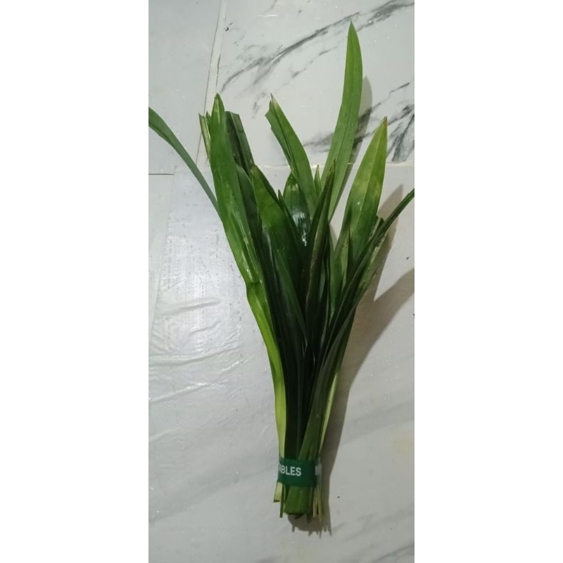 

Daun Pandan 1iket