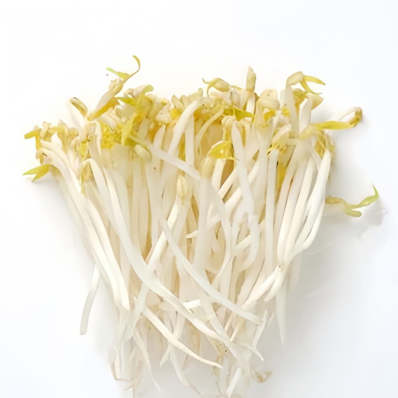 

SAYUR TAUGE / TOGE SEGAR 500 gram SAYUR SEGAR SIDOARJO