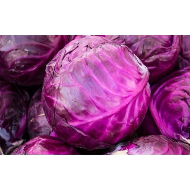 

Kol Ungu | kol Ungu 500 gram