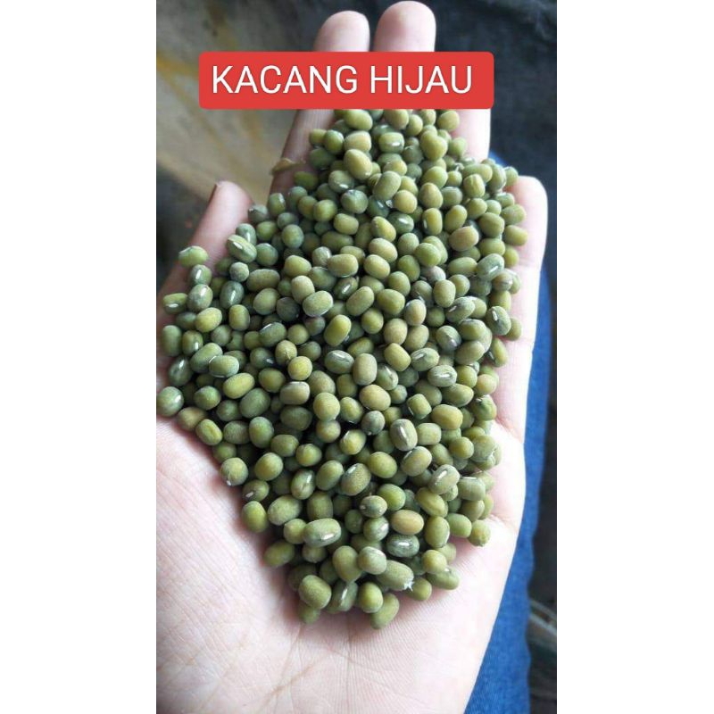 

KACANG HIJAU 1KG