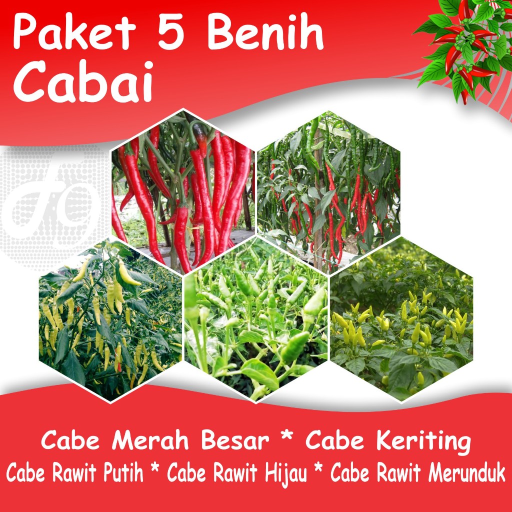 Paket Benih Cabe 5 Jenis Bibit Sayuran Cabai Merah Besar Keriting Rawit Hijau Rawit Putih Rawit Meru