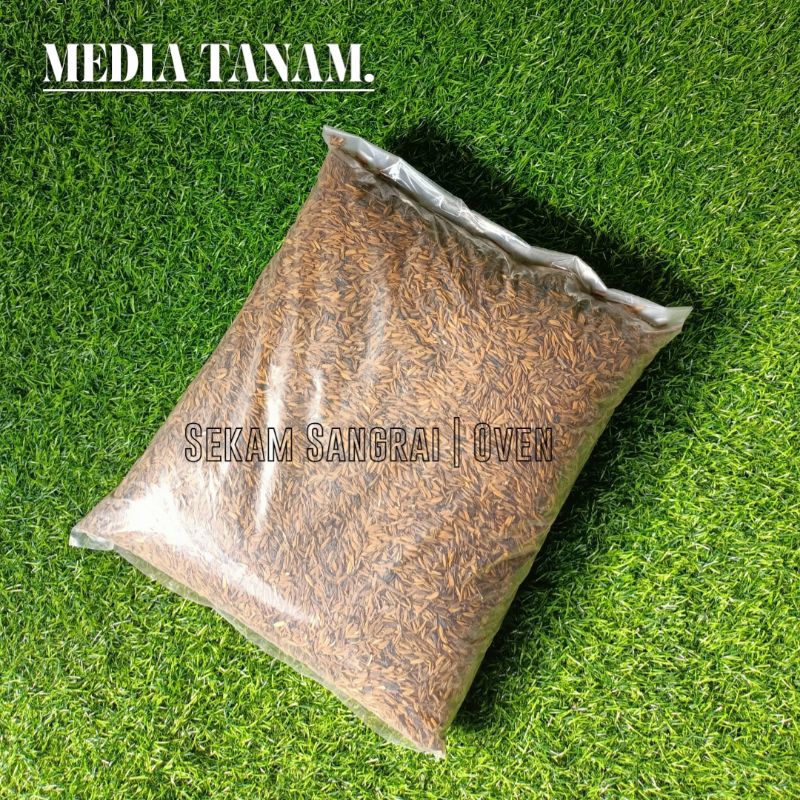 Media Sekam Sangrai - Sekam bakar - Sekam mentah - Media tanam - KHUSUS INSTANT