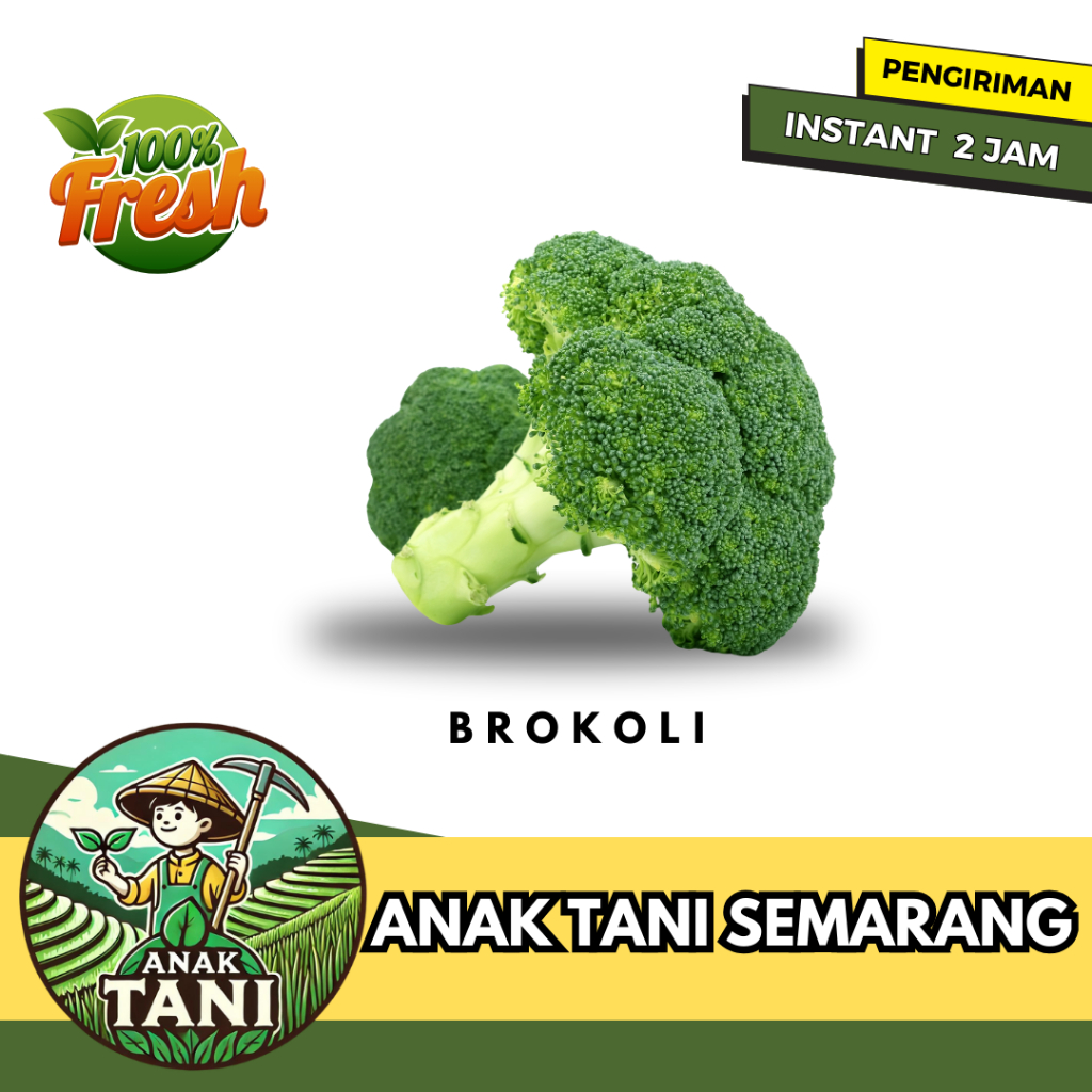

[ANAK TANI] BROKOLI 250 GR SEGAR SIAP KIRIM INSTANT AREA SEMARANG