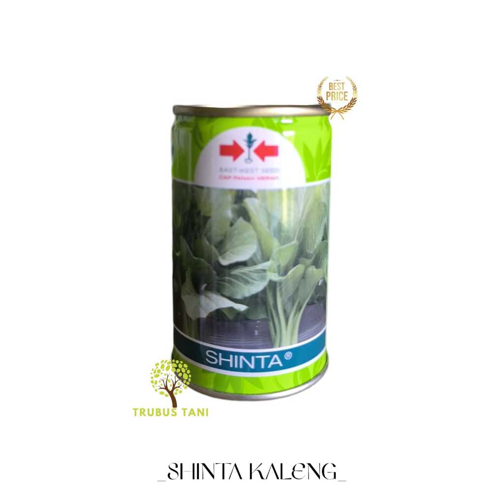 BENIH SHINTA KALENG / BIBIT Caisim Sawi SHINTA 100gr