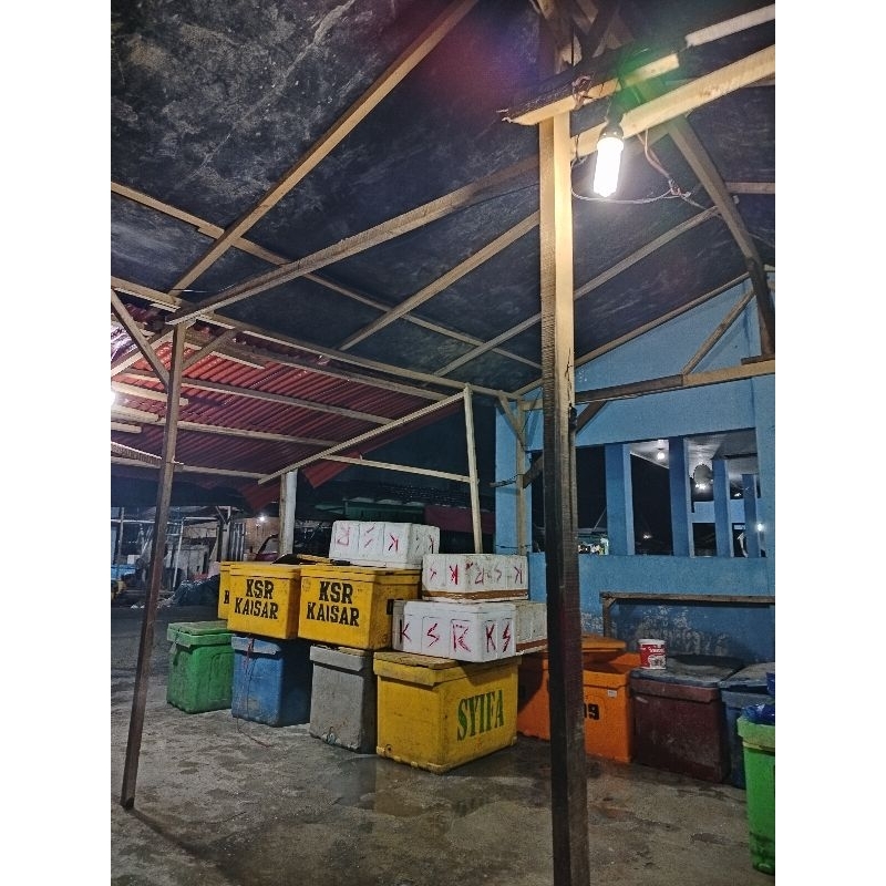 

ikan fress dan beku