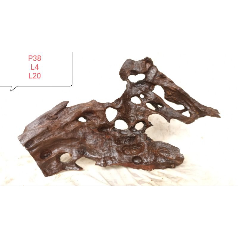 Rentek kayu posil untuk dekorasi  Aquascape dll