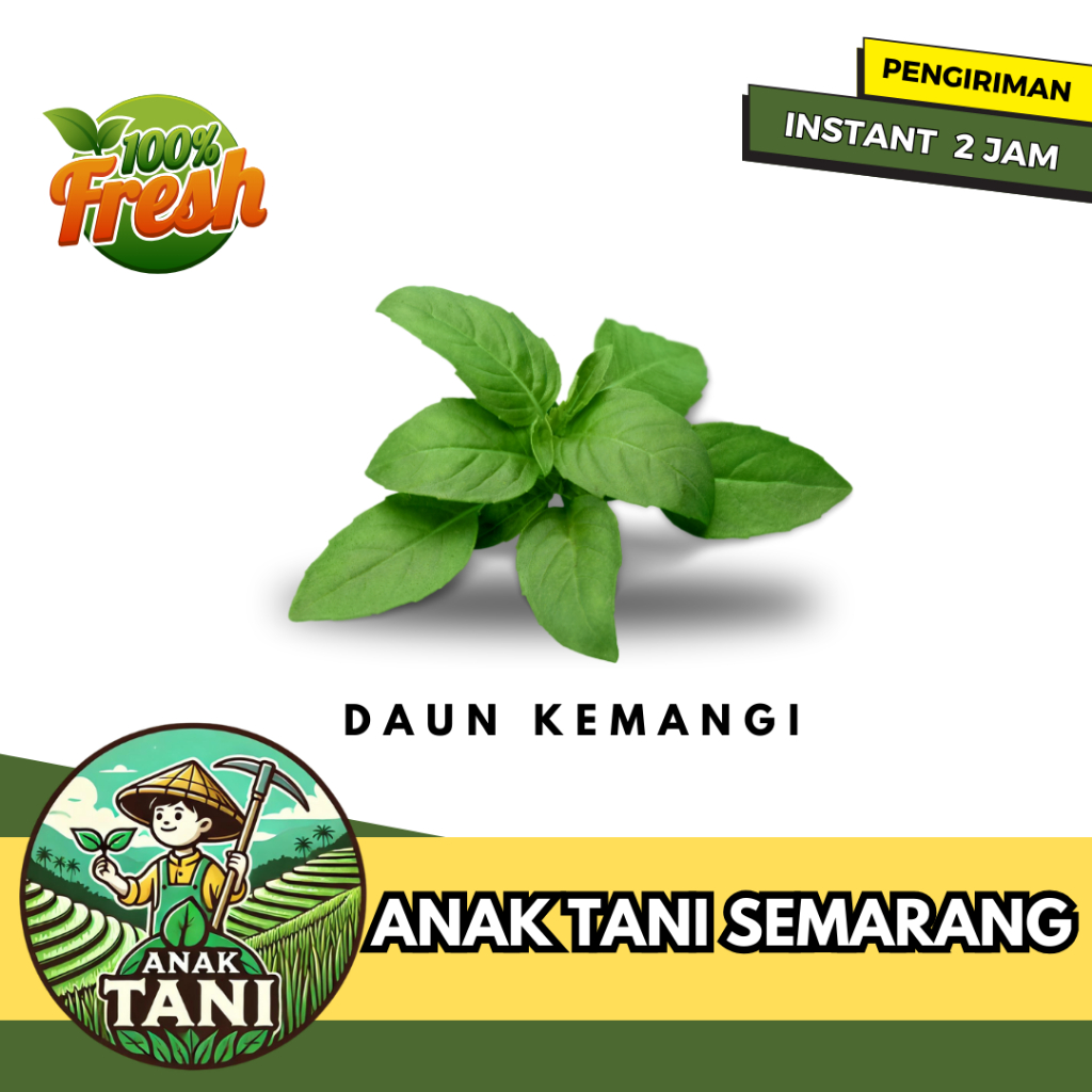 

[ANAK TANI] DAUN KEMANGI PER 1 IKAT SEGAR SIAP KIRIM INSTANT AREA SEMARANG