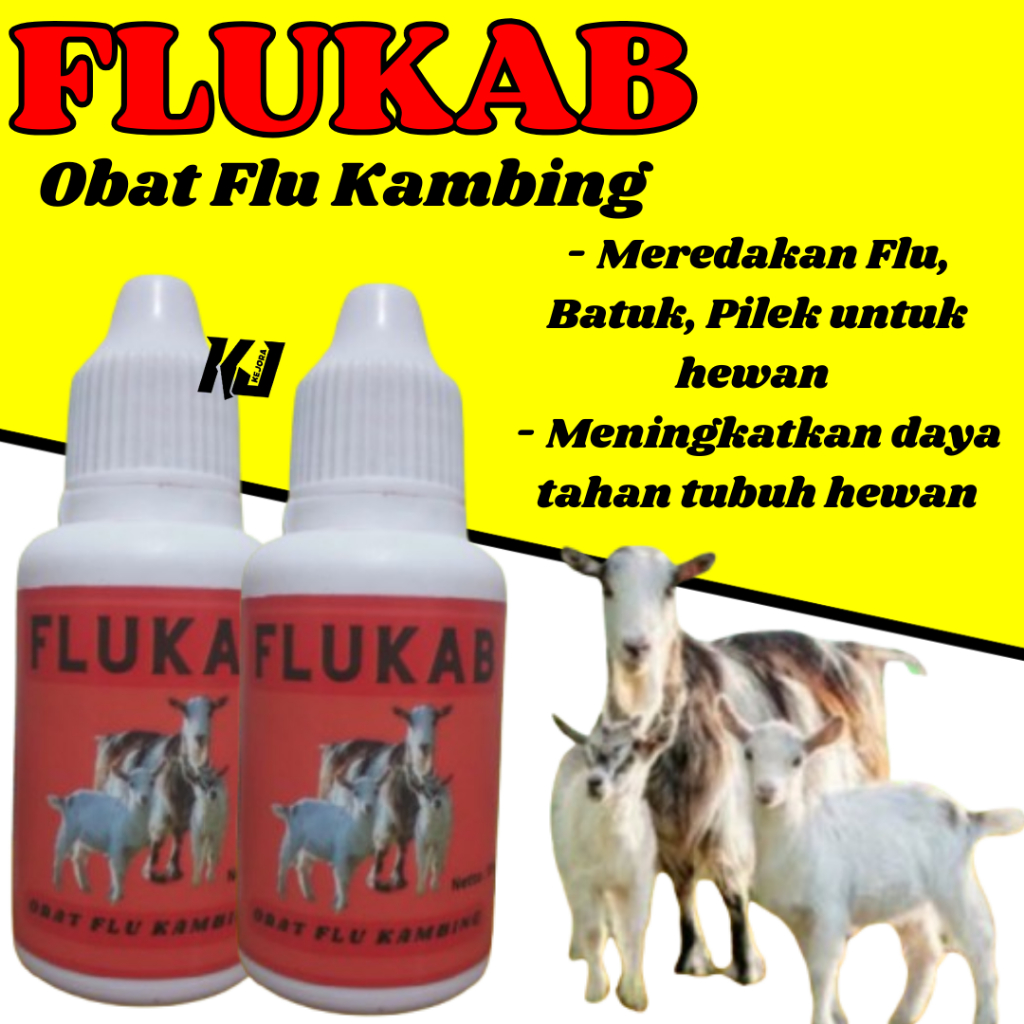 Obat batuk kambing - Obat pilek kambing - Obat Pneumonia Ternak hewan