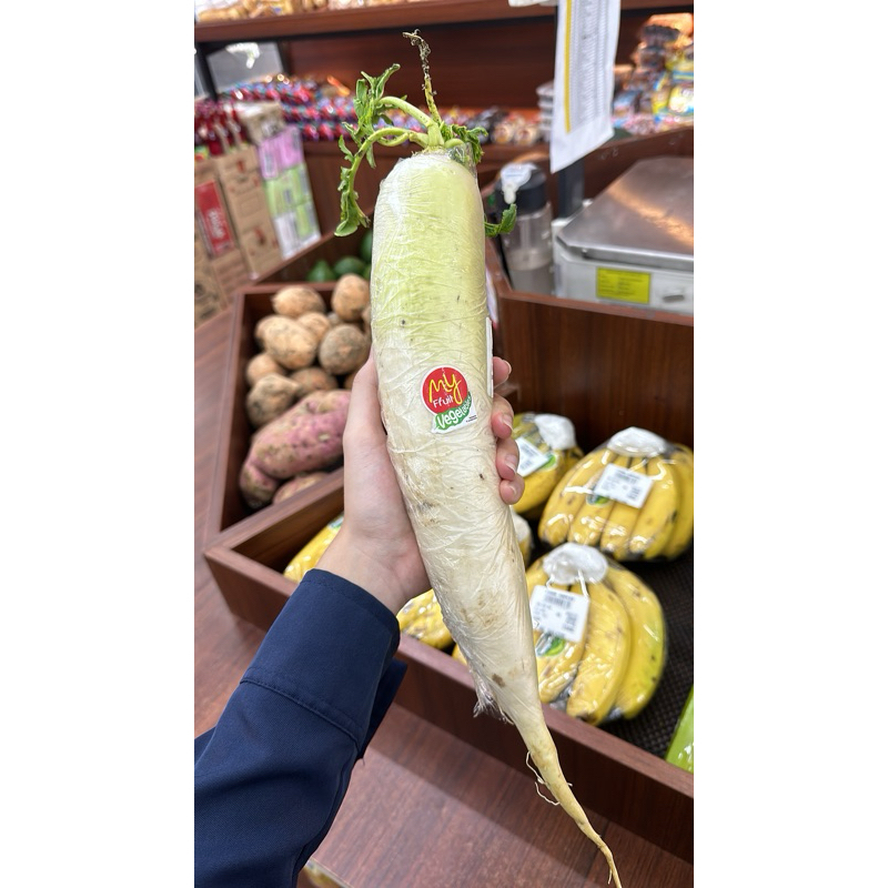 

Lobak Putih Fresh Ukuran Sedang