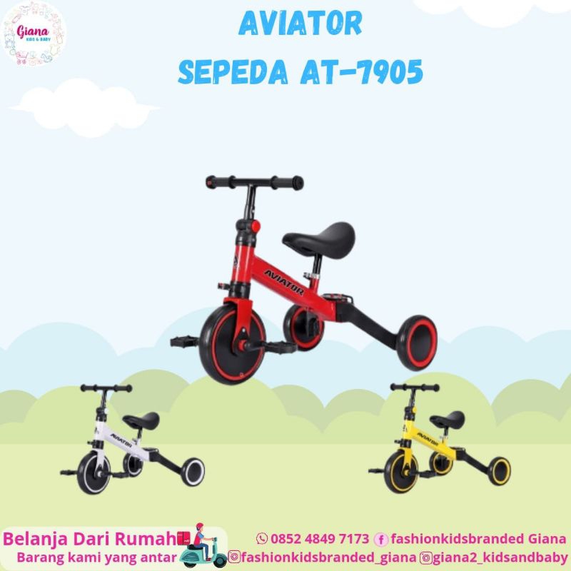 Aviator Sepeda AT-7905